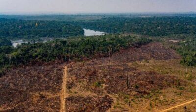 amazzonia-coronavirus-deforestazione-record