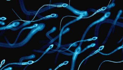coronavirus-presenza-virus-sperma