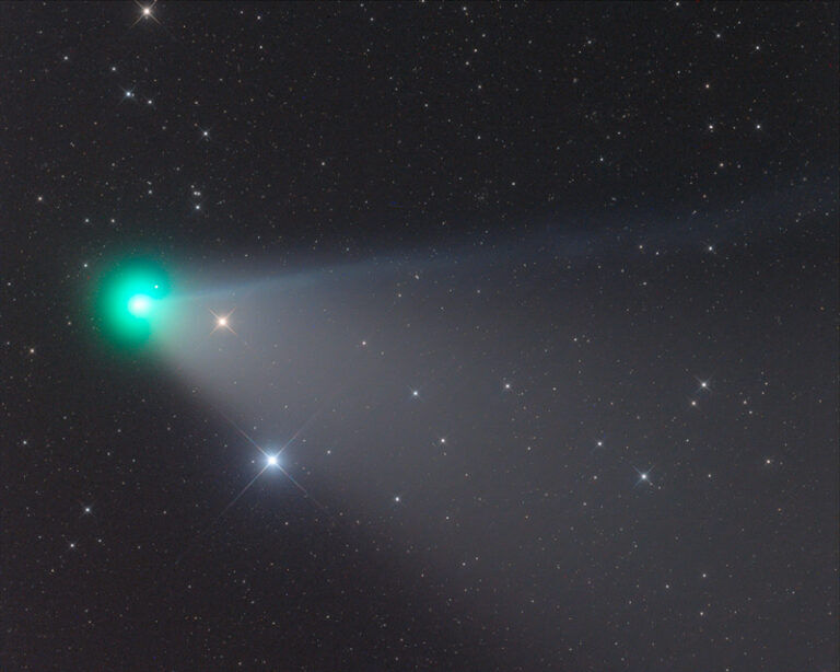 erasmus cometa,