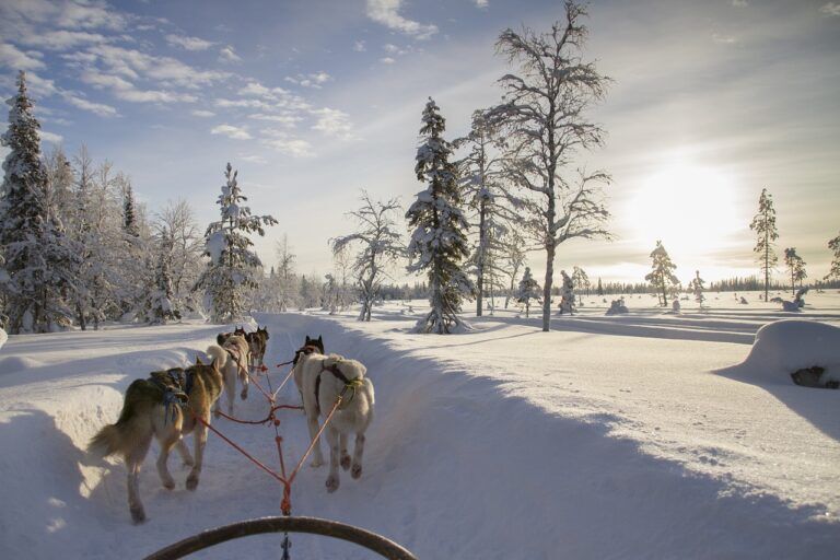 lapponia, vacanze, babbo natale