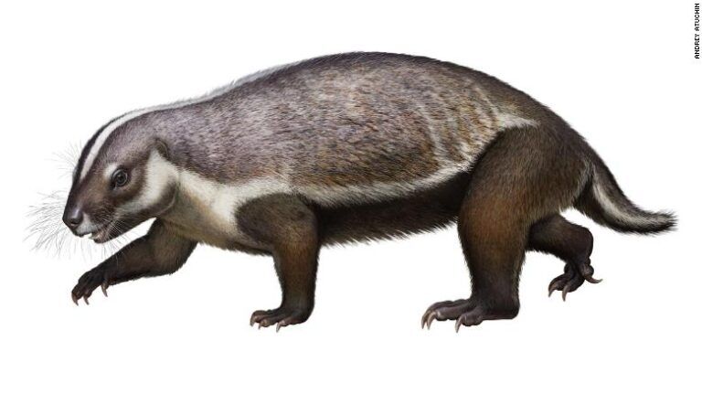 Mammifero primitivo