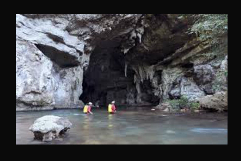 pesci elettrici, amazzonia, adattamenti