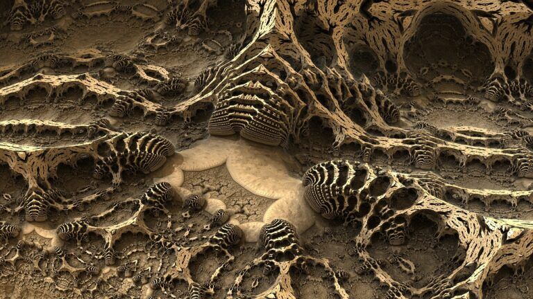 fossili