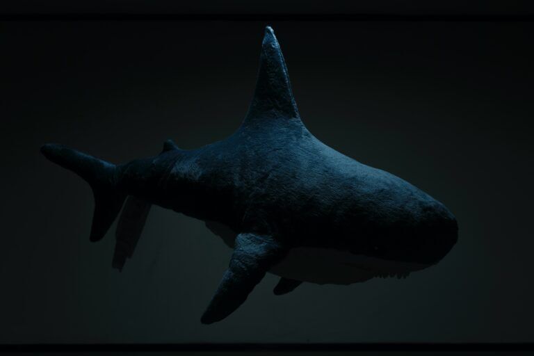 I megalodonti procreavano cuccioli enormi che mangiavano i loro fratelli nel grembo materno