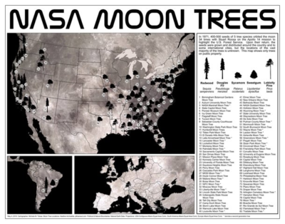 semi dalla luna, alberi lunari