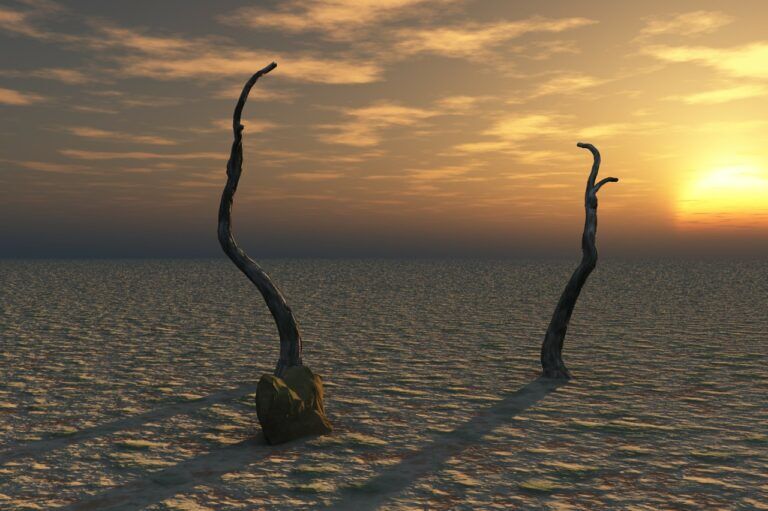 deserto notte