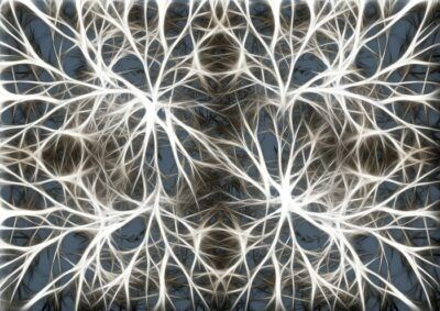 cellule cerebrali cervello