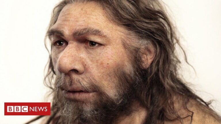 I Neanderthal potevano discernere e produrre parole umane