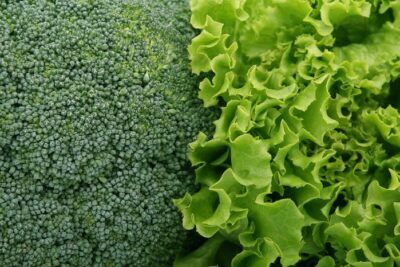 verdure foglia verde funzione muscolare
