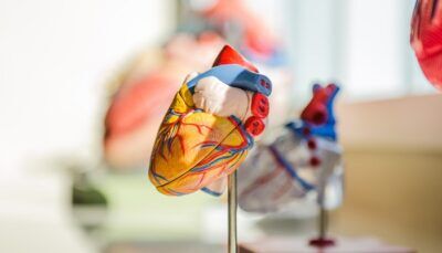 covid-19-malattia-distruggere-cellule-cuore