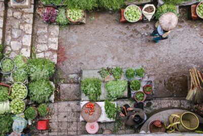 alimentazione prodotti biologici