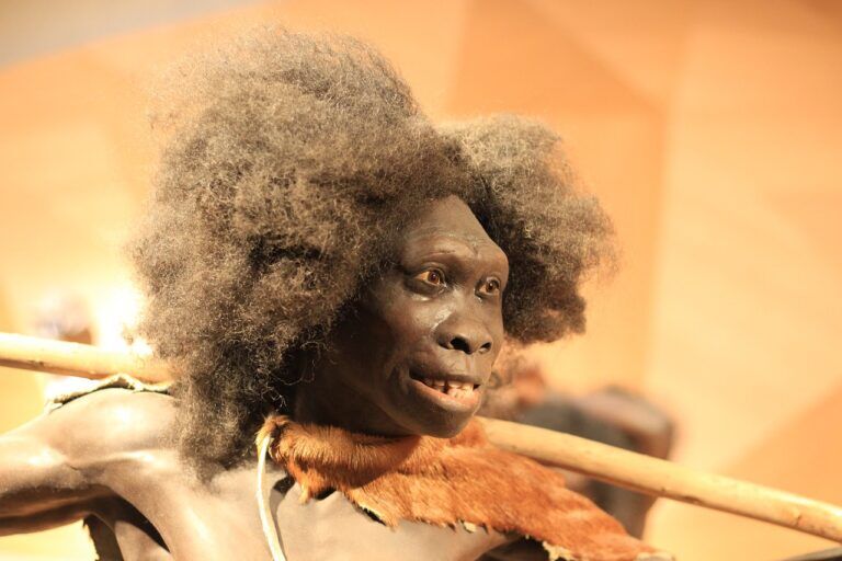 ominidi Neanderthal, europa, comparsa