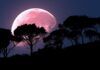 superluna, luna rosa, pink moon