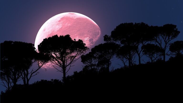superluna, luna rosa, pink moon