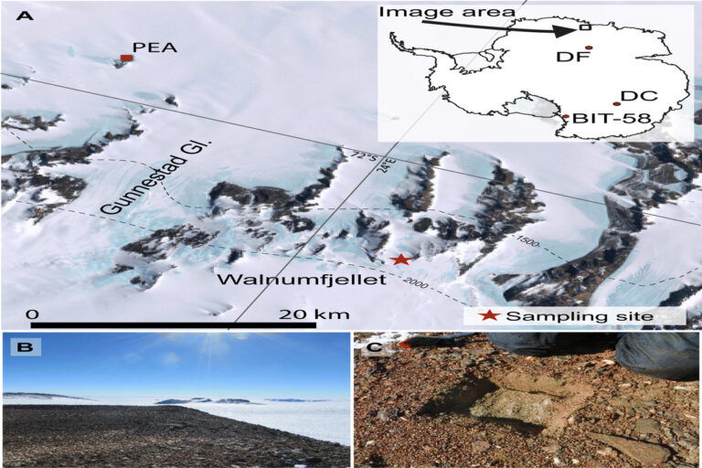 meteorite, particelle, antartide