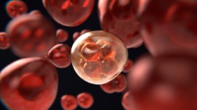 nanoparticelle cancro cervello