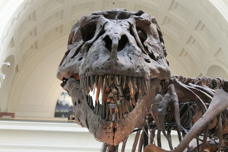 t.rex, jurassic park, inseguimento
