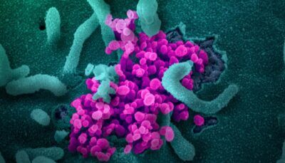 covid-19-super-variante-coronavirus