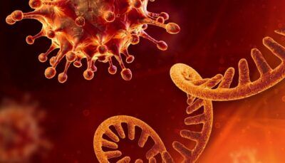 covid-19-variante-africana-coronavirus