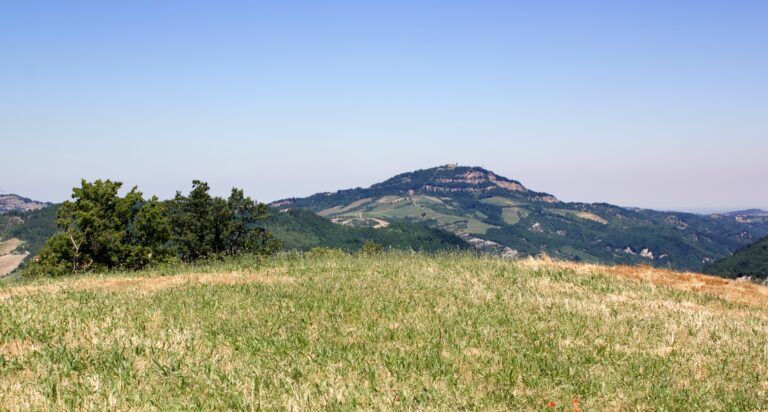 covid-anticorpi