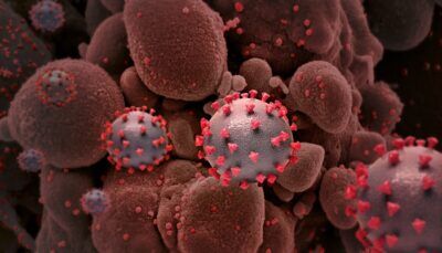 covid-19-variante-delta-coronavirus