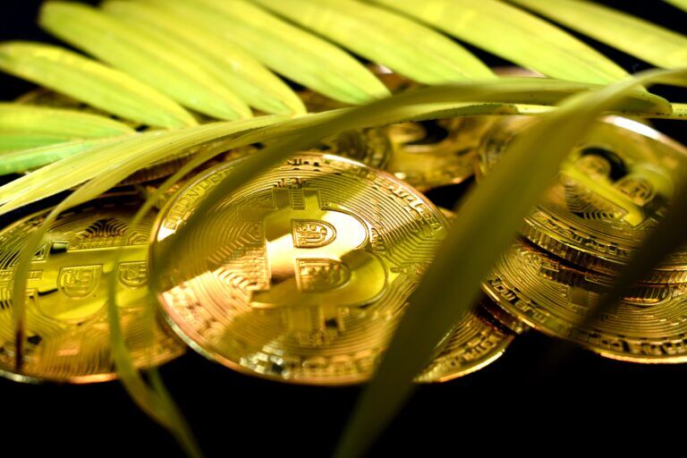 criptomonete