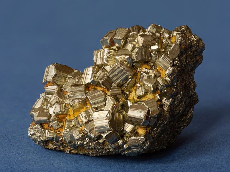 oro degli sciocchi