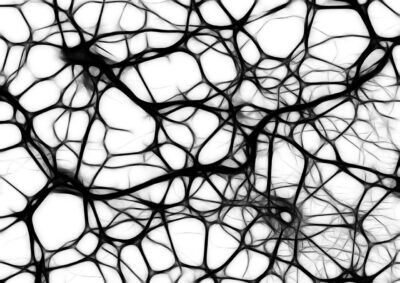 connessioni, neuroni, segnale, cervello,