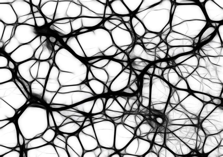 connessioni, neuroni, segnale, cervello,