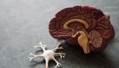covid-19-problemi-neurologici-guarigione