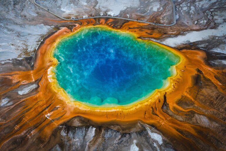 fungo-yellowstone