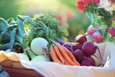 dieta vegetale Covid-19