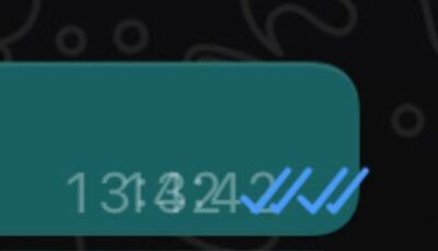 whatsapp fake bug