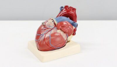 covid-19-coronavirus-cuore-modifiche