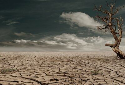 videogiochi crisi climatica