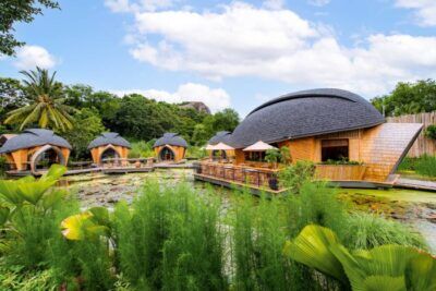 ecoturismo thailandia gusci di tartaruga