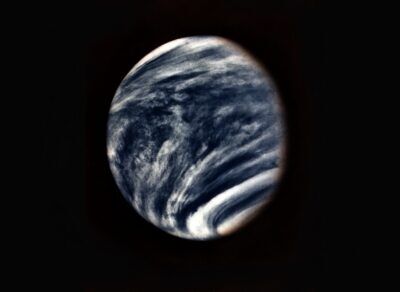venere