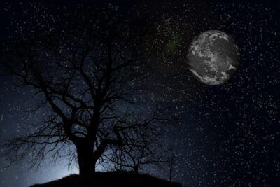 alberi astronave canzone