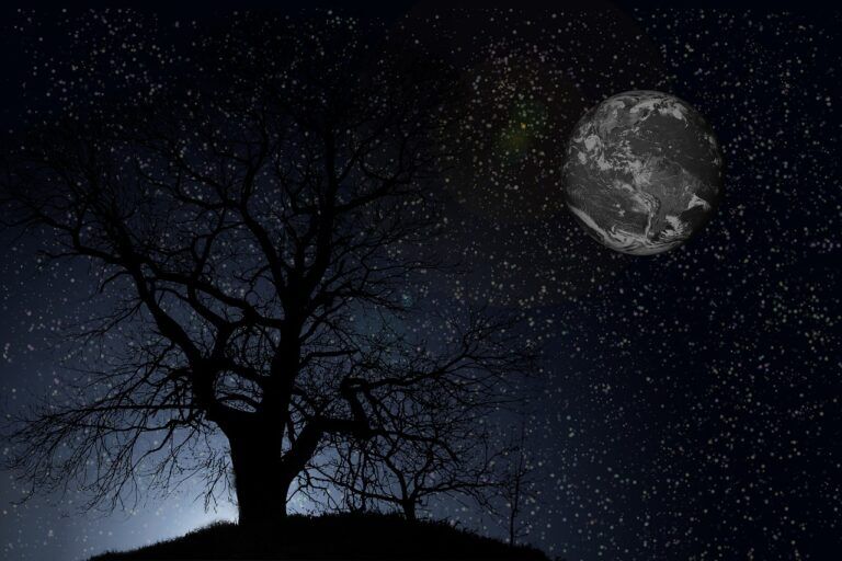 alberi astronave canzone