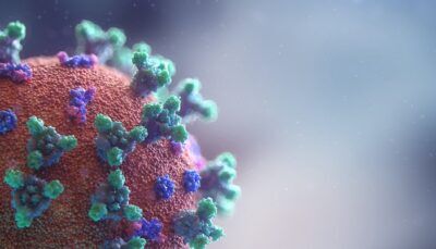 coronavirus-nuova-variante-sudafricana-pericolo