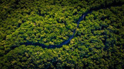 deforestazione-amazzonica