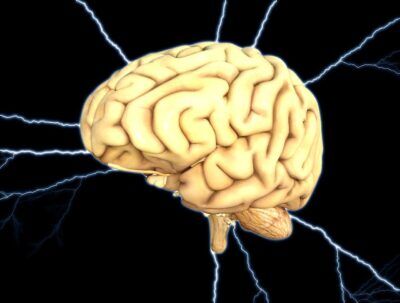 neuroni