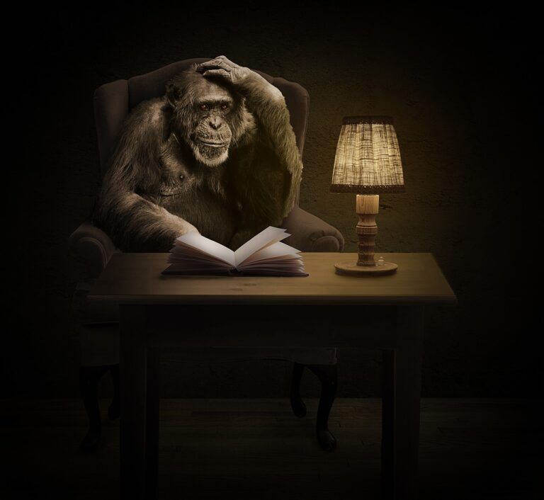 Quali animali prenderanno il nostro posto se ci estinguessimo?