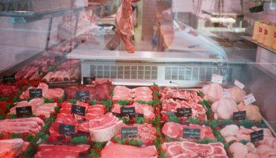 carne-rossa-allergia-zecca