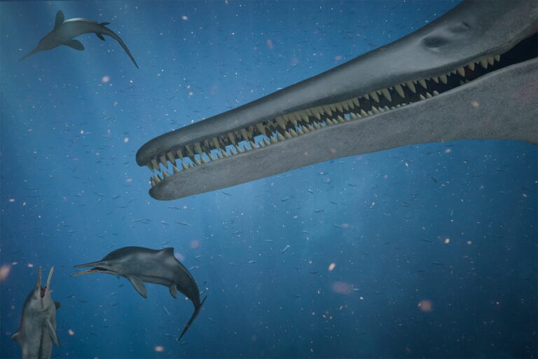ittiosauro, dinosauro marino
