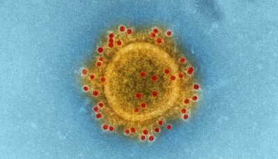 omicron-mutazione-ceppo-coronavirus