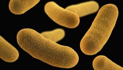 batteri-pericolosi-antibiotici-acqua