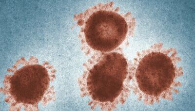 covid-19-coronavirus-animali-topi