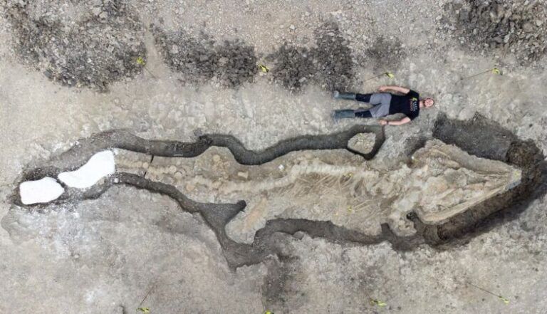 ittiosauro