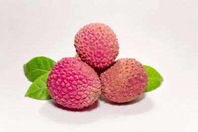litchi genoma